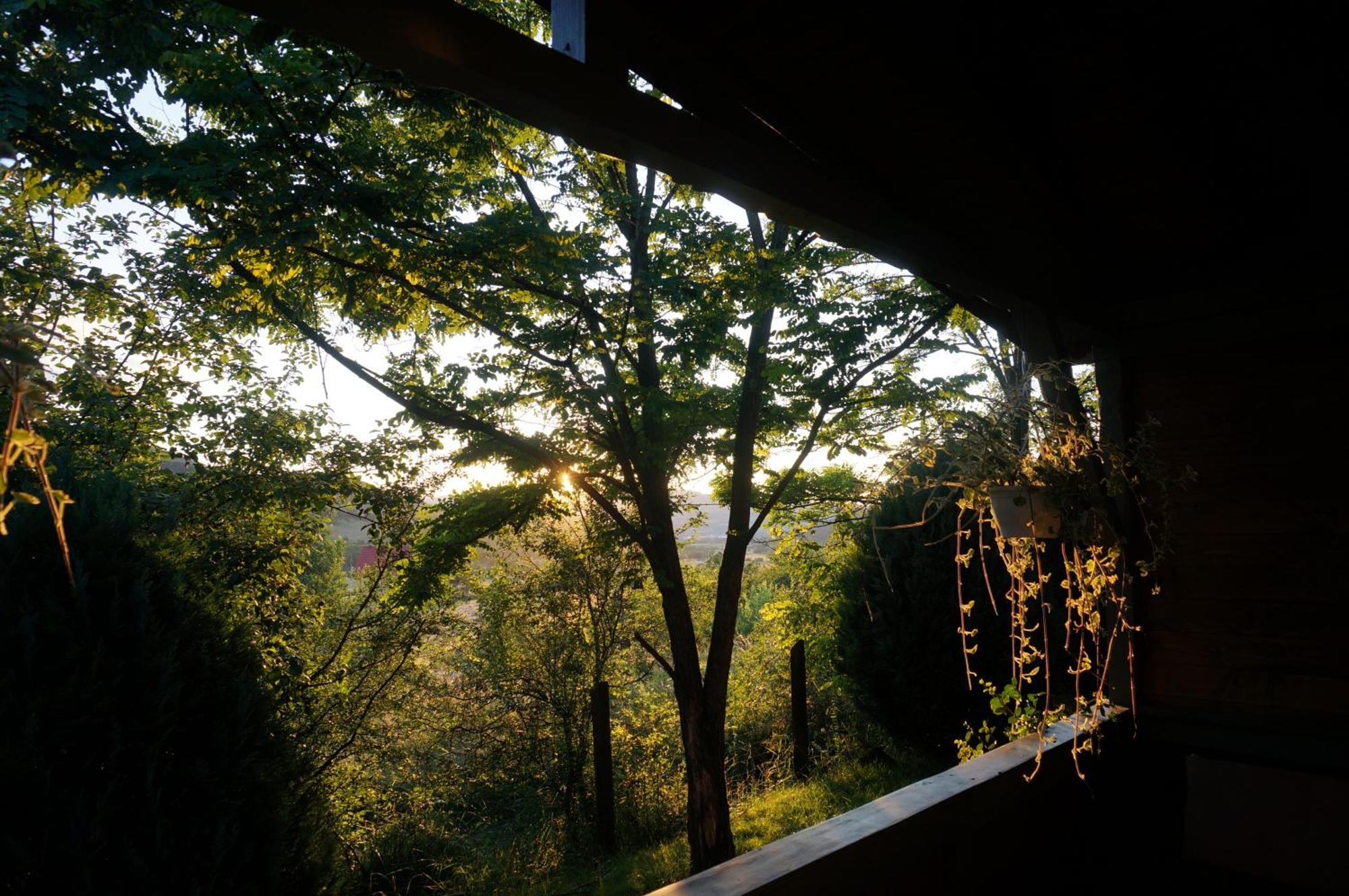 Natura Chalets Praid Esterno foto