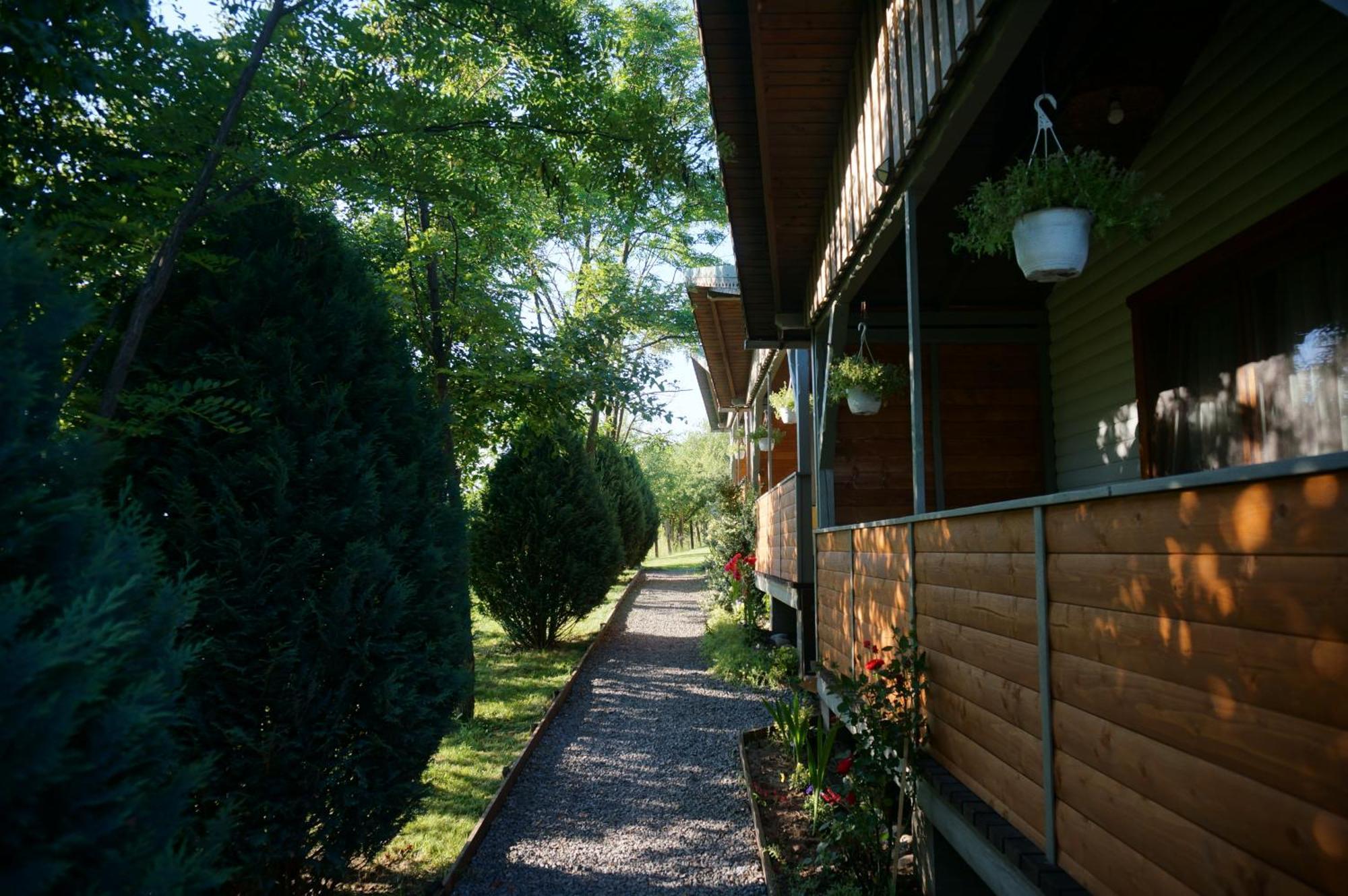 Natura Chalets Praid Esterno foto